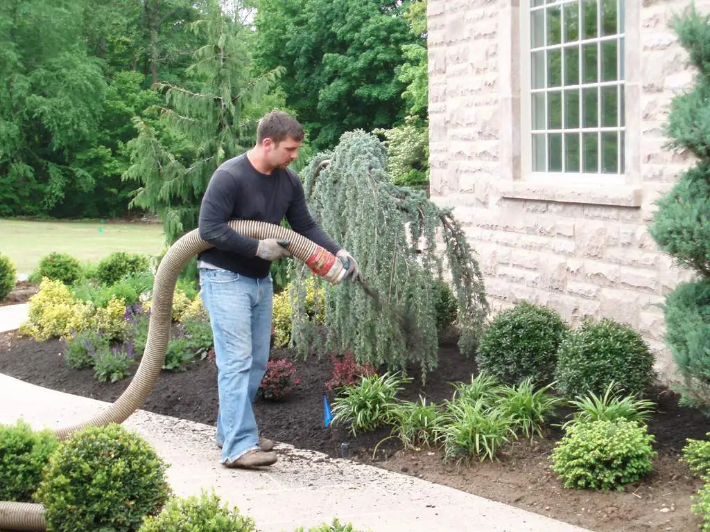 Blowing bark into a garden bed through the blower truck hose