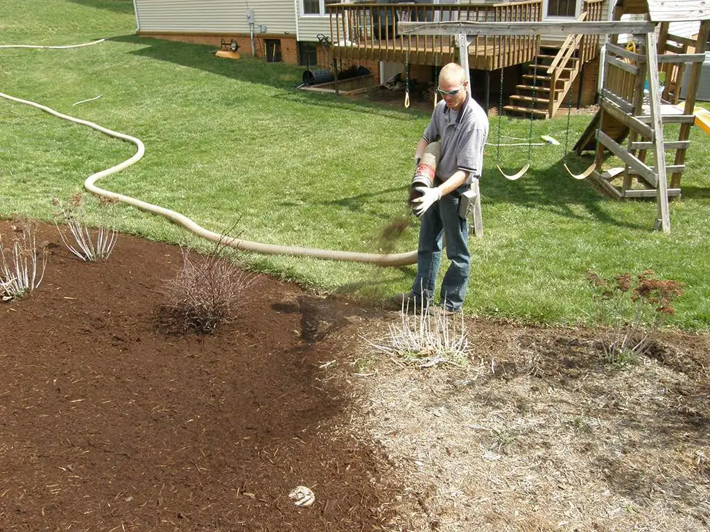 Blowing bark across a new bed beside a lawn