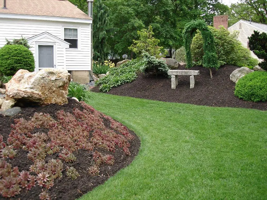 A garden bed with a boulder, shrubs and a lawn edge