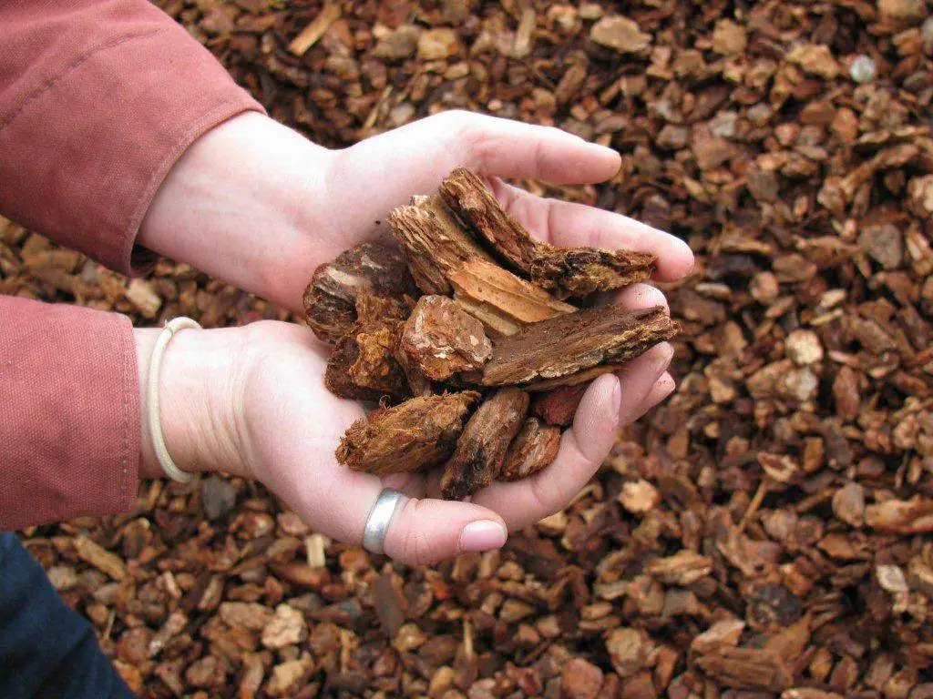 A handful of medium bark