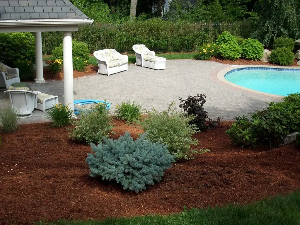 Bark beds with shrubs around a pool patio