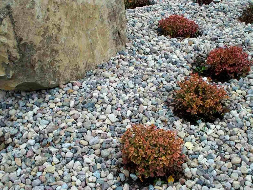 River rock ground cover with red shrubs and a boulder