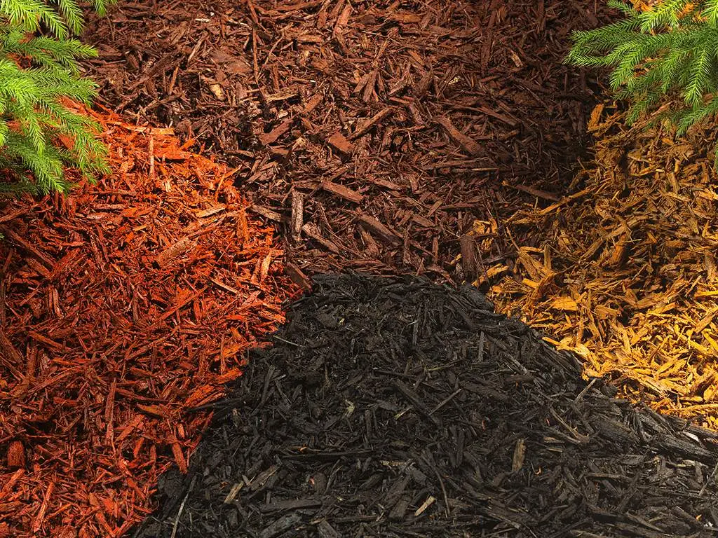 Piles of red, gold and dark bark mulch