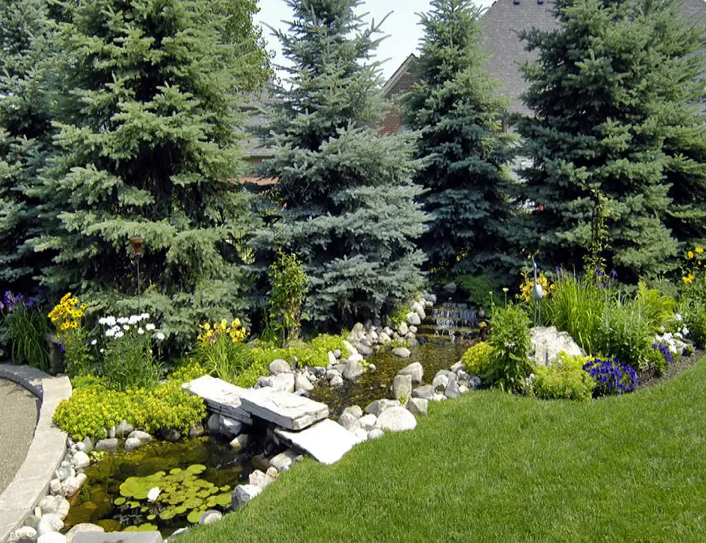 A garden pond and stream edged with rock