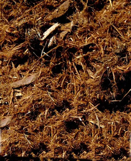 Close-up of cedar hog fuel