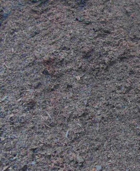 Close-up of farm doo