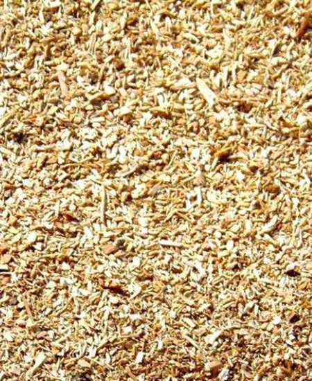 Close-up of fir sawdust