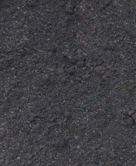 Close-up of grow-n-gold