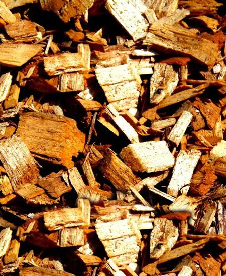 Close-up of hardwood chips