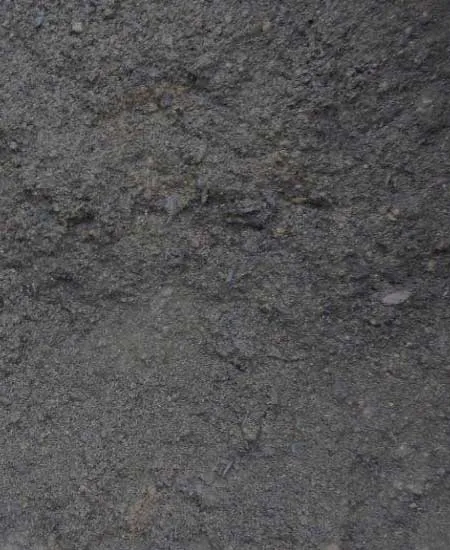 Close-up of loam