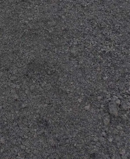 Close-up of splendid soil