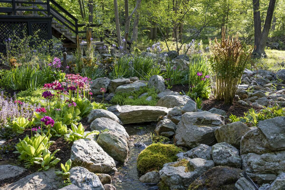 A backyard rock creek with flowering plants