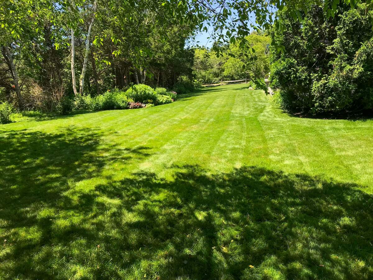 A freshly mown green lawn in a tree-lined yard