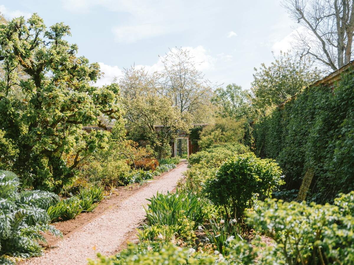 A fine gravel path between shrub borders